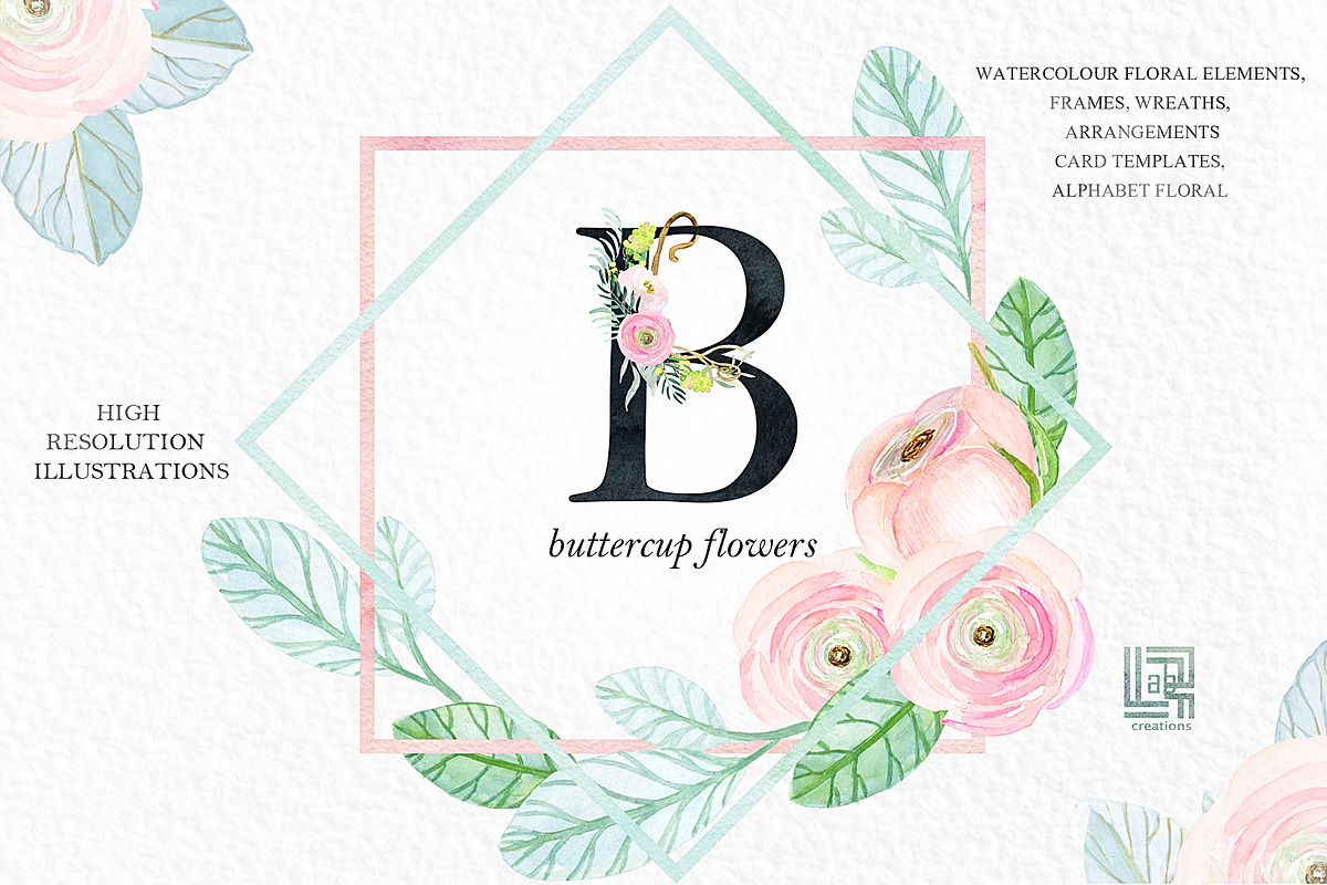 -50% Off Buttercups. Ranunculus pink, an Illustration by LABFcreations (Photo 2 of 12)