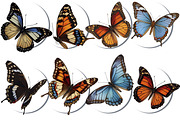 Clipart colorful butterfly, an Animal Illustration by ArtOfSoul (Thumbnail 3 of 6)