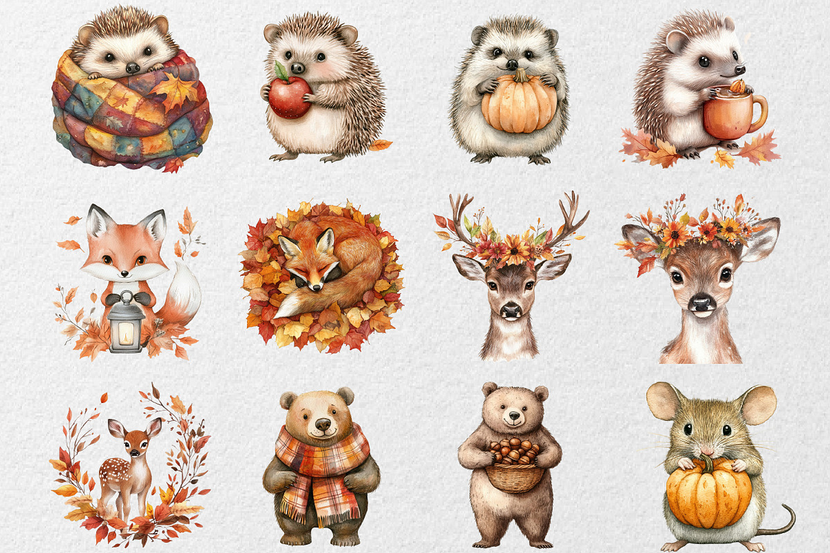 Autumn Animals Clipart, an Illustration by DreamCafeArt (Photo 4 of 4)