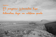 Reposida Brush Font, a Script Font by Hishand Studio (Thumbnail 8 of 8)