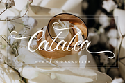 Chriselda - Modern Calligraphy, a Script Font by Fikryal Studio (Thumbnail 3 of 15)
