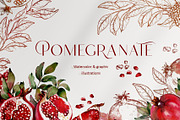Pomegranate fruits, a Food Illustration by Jeanna Draw (Thumbnail 2 of 10)