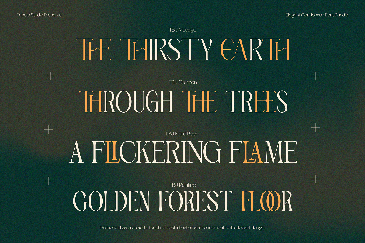 Elegant Condensed Volume 4, a Serif Font by Taboja Studio (Photo 14 of 22)