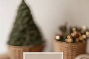 Christmas Curious Cats Collection, a Seasonal Illustration by Muse Artist (Thumbnail 13 of 13)