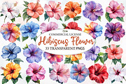 Hibiscus Flower Watercolor Cliparts, an Illustration by Designworld (Thumbnail 1 of 8)