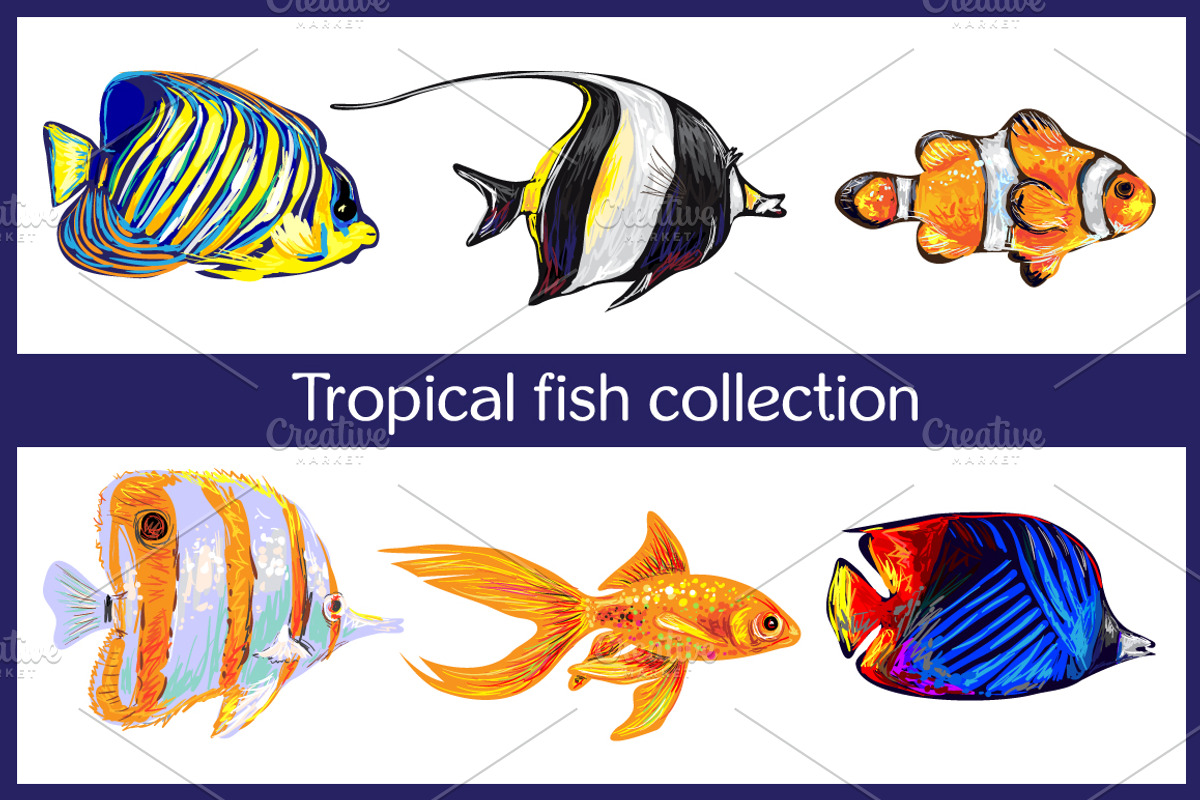Tropical fish, an Object Graphic by Katya Hatsak