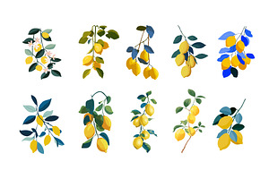 Lemon branch leaves flat vector, a Food Illustration by Onyx