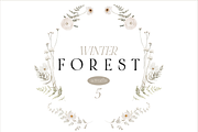 Autumn and Winter FOREST -watercolor, a Seasonal Illustration by Youksy (Thumbnail 18 of 29)