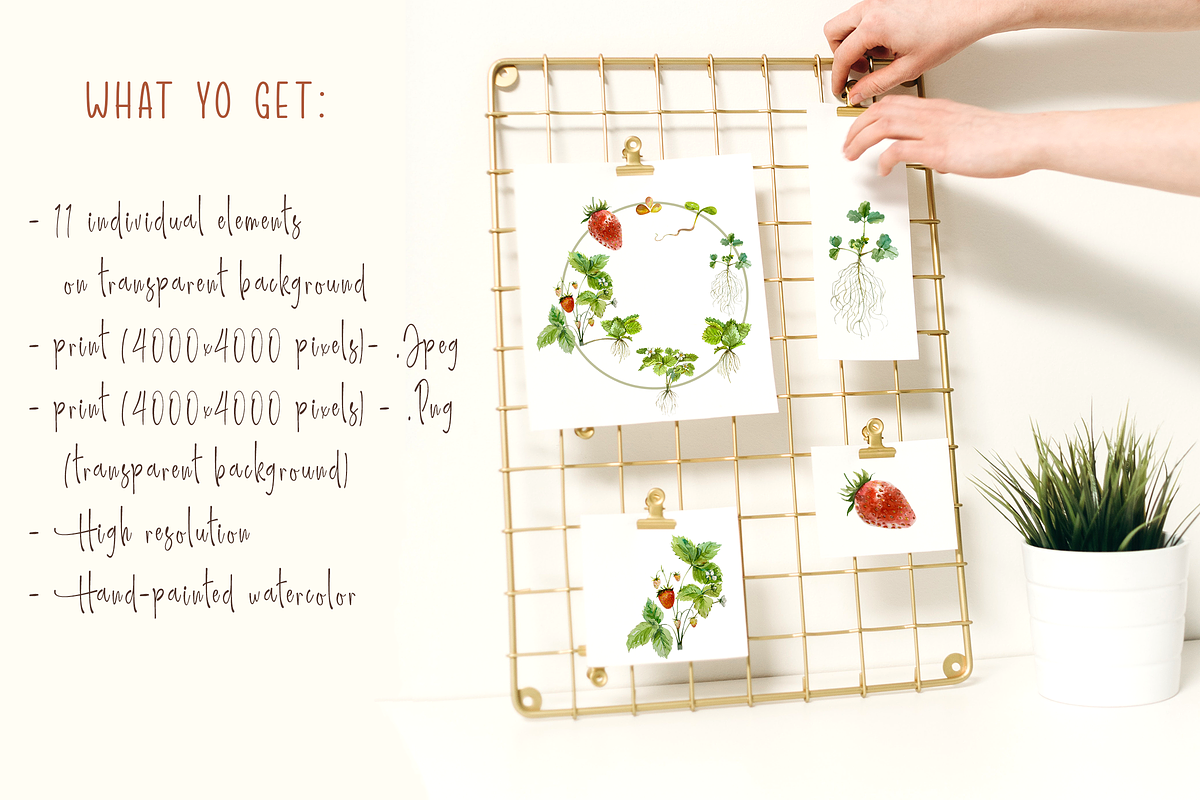 Strawberry Life Cycle Cliparts/Print, an Education Illustration by Tati Bordiu (Photo 4 of 4)