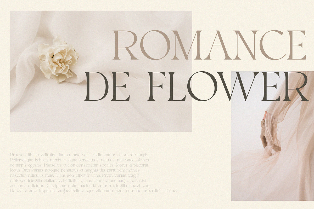 Roxie rossa, a Serif Font by ToniStudio (Photo 3 of 10)