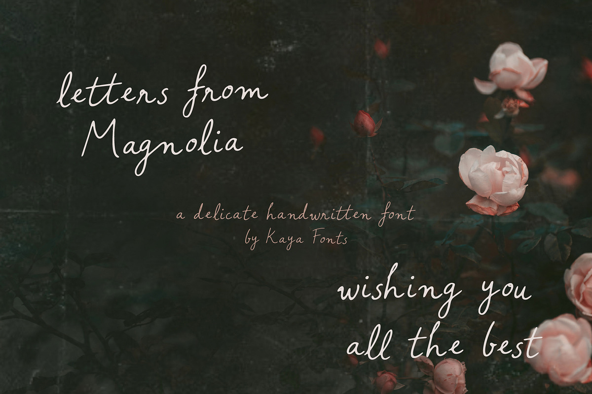 Letters from Magnolia Script Font, a Handwritten Font by Kaya Fonts (Photo 4 of 32)