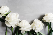 Eucalyptus Floral Mockup Bundle, a Social Media Template by LaPorte Images (Thumbnail 13 of 14)
