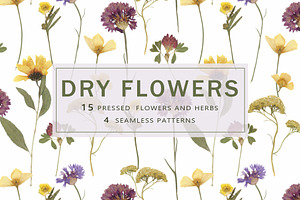 Pressed Dry Flowers & Leaves