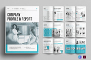 Company Profile & Report Template, a Brochure Template by E-Type (Thumbnail 1 of 13)
