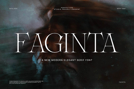 Faginta Minimalist Serif Font, a Serif Font by Perfectype