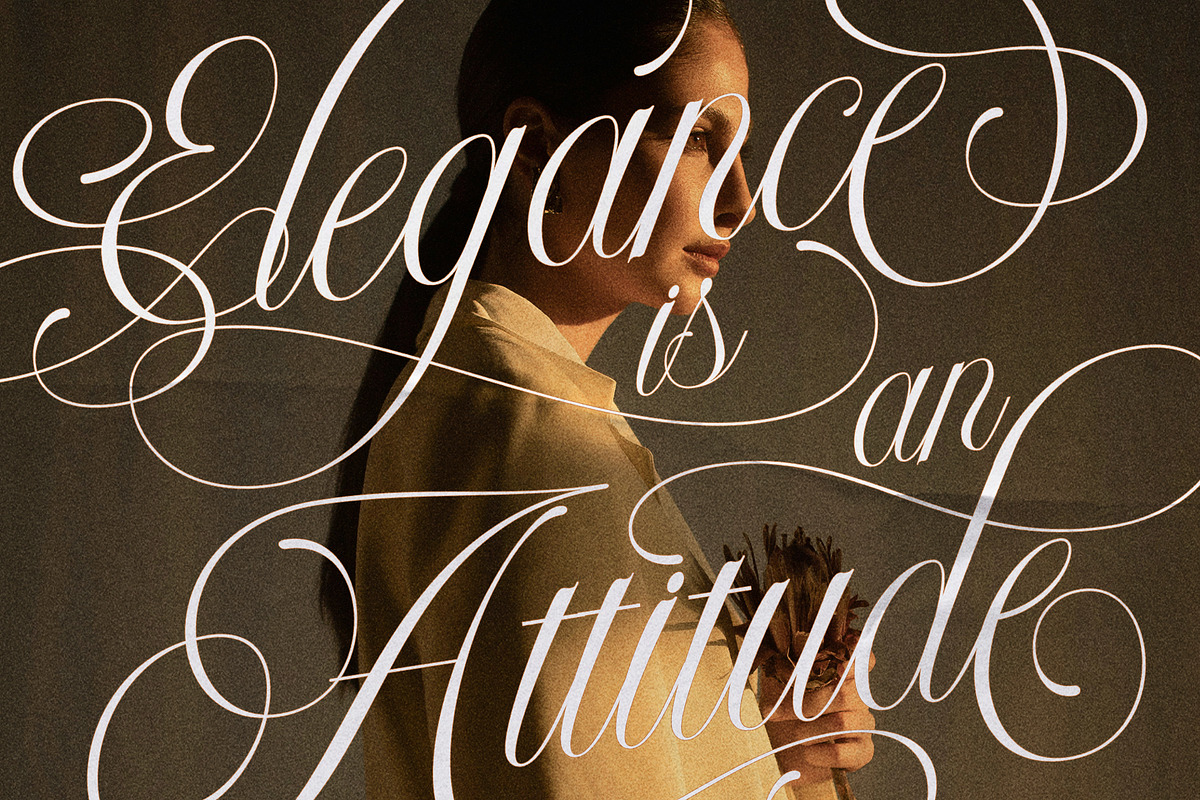 LT Nouvelle Jardin – Romantic Script, a Script Font by Luminotype (Photo 6 of 10)