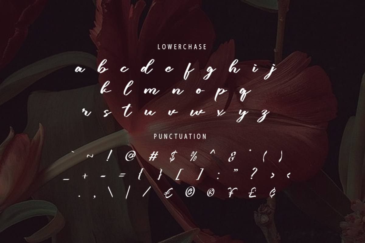 Lubirens, a Script Font by GlottaTypeface (Photo 6 of 8)