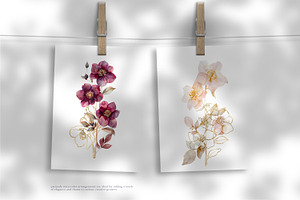 Watercolor Hellebore Clipart Set