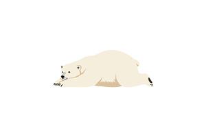 Polar bear lounging on the ice in a, an Illustration by designvectx
