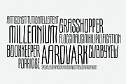 Larsson, a Sans Serif Font by Leitmotif (Thumbnail 2 of 2)