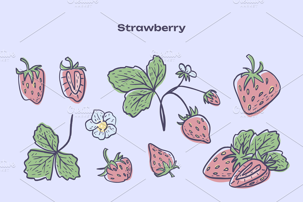 Berries Vector Illustration Pack, an Illustration by Castula (Photo 4 of 17)