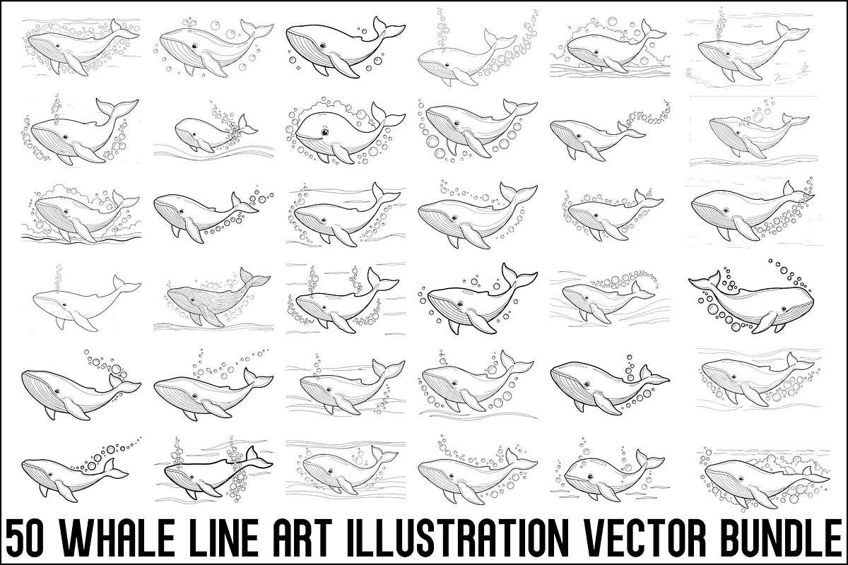 Whale Line Art Vector Bundle, an Illustration by yasushie (Photo 1 of 51)