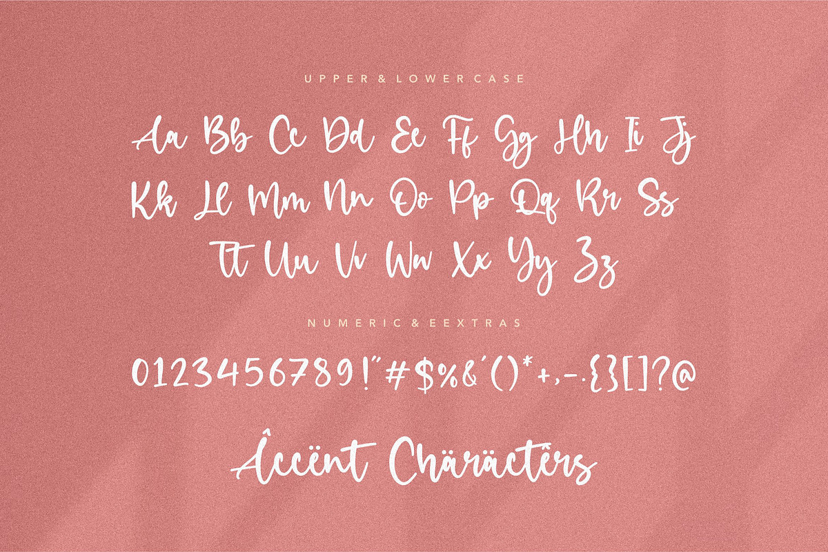 Birdlove - Handwritten Font, a Script Font by Letterative Studio (Photo 6 of 7)