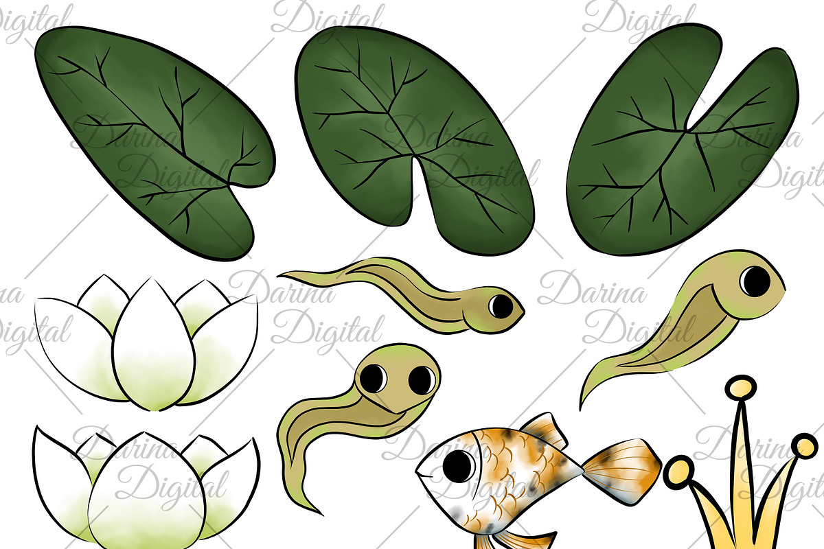 Frog clipart, an Animal Illustration by DarinaDigital (Photo 3 of 6)