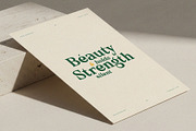 Belcino — Editorial Serif Font, a Serif Font by Almeera Std (Thumbnail 6 of 10)