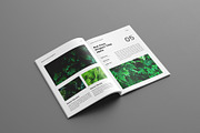 Botanic Portfolio Brochure Layout, a Magazine Template by Seeing-art (Thumbnail 7 of 11)