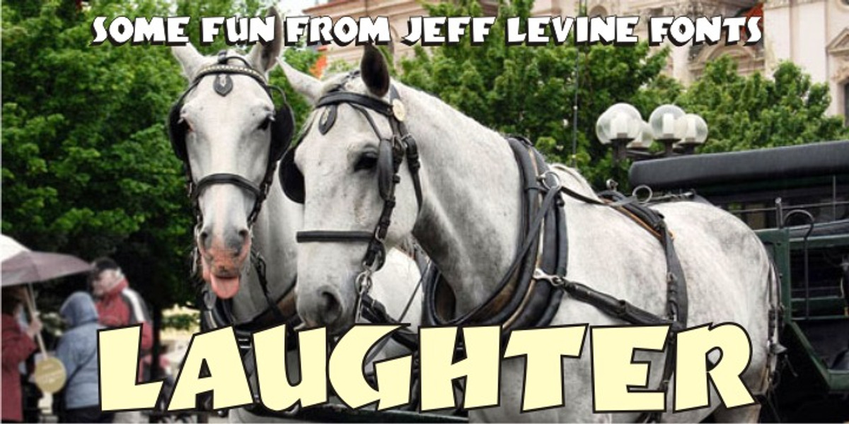 Laughter JNL, a Font by Jeff Levine Fonts