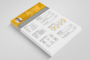 Professional Design Word CV