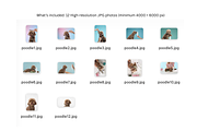 Pet Grooming Studio Photos for Brand, an Animal Photo by Animalistica (Thumbnail 3 of 3)