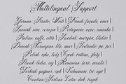 Fadune – Calligraphy Font Family, a Script Font by NDNL Studio (Thumbnail 10 of 10)