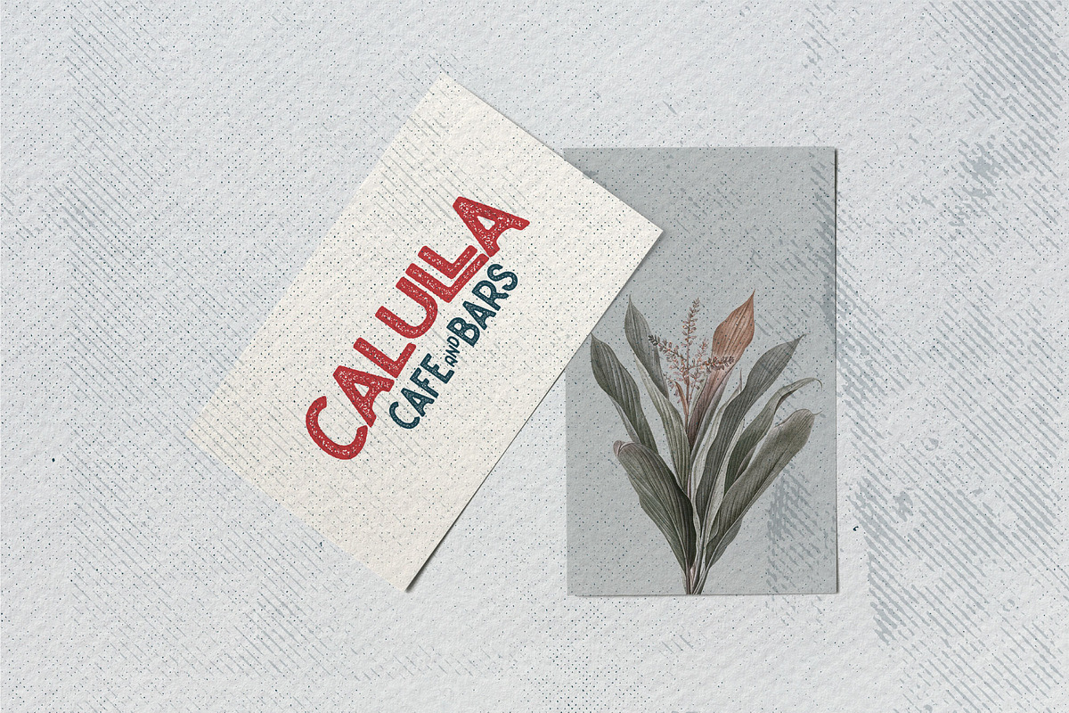 Caltons Typeface With Extra Bonus preview 7