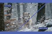 Snow Overlay, a Texture Graphic by BazziBa♥ (Thumbnail 7 of 9)