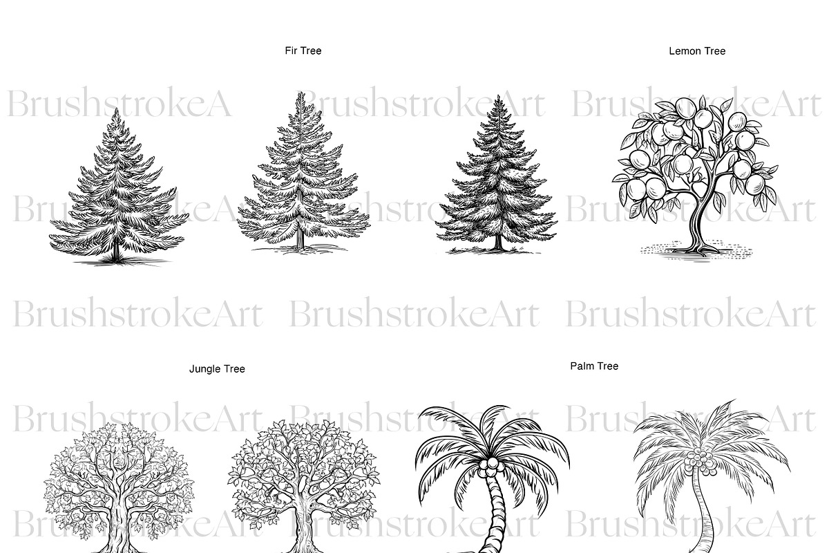Tree Silhouette Clipart, Bonsai Tree, an Illustration by BrushstrokeArtGB (Photo 6 of 10)