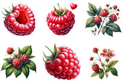 Watercolor Raspberry Clipart, an Illustration by DreamArtGraphic (Thumbnail 2 of 4)