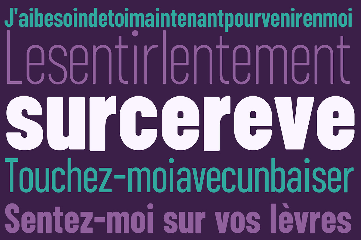 ZT Floogn, a Sans Serif Font by zelow type (Photo 6 of 15)