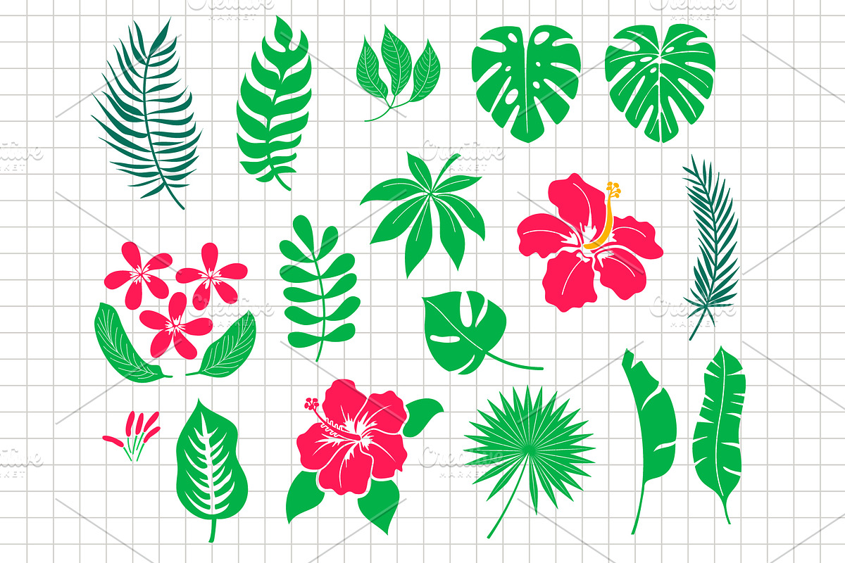 Hibiscus | Tropical leaves | Vector, an Object Graphic by Elena Nesterova (Photo 2 of 4)