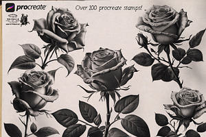 Procreate - Realistic Roses -