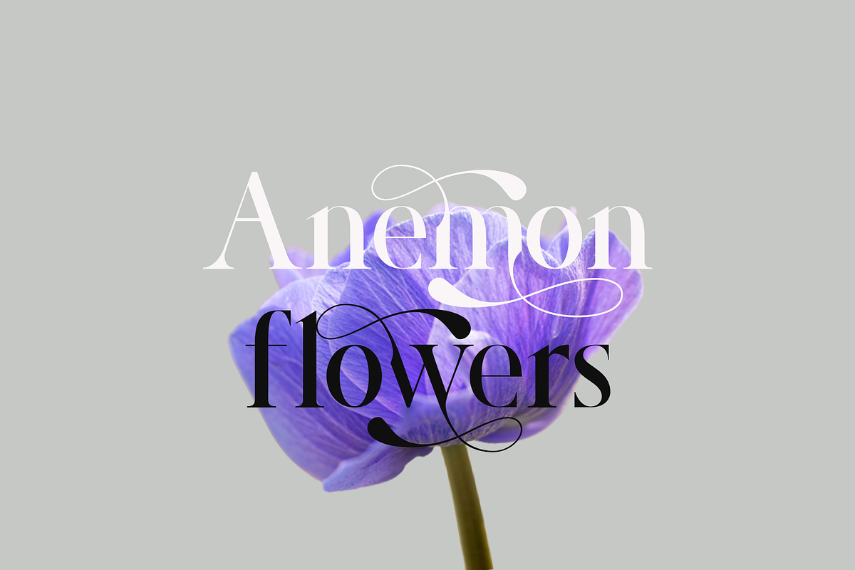 Roland Bryon Display, a Serif Font by LuhopCreative (Photo 14 of 18)