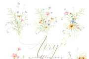 Watercolor AIRY WILDFLOWER Clipart, a Decorative Illustration by Beigetime (Thumbnail 6 of 16)