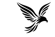Powerful eagle flying wall art desig, an Illustration by Amazin_art (Thumbnail 20 of 31)