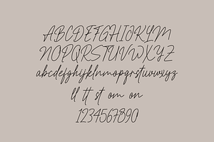 Restiny Sallmi - Script Font