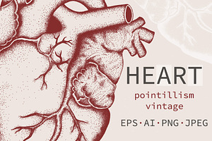 HEART Anatomical Art