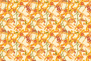 Orchids branch in botanical style, a Decorative Illustration by Ann Astro (Thumbnail 9 of 15)