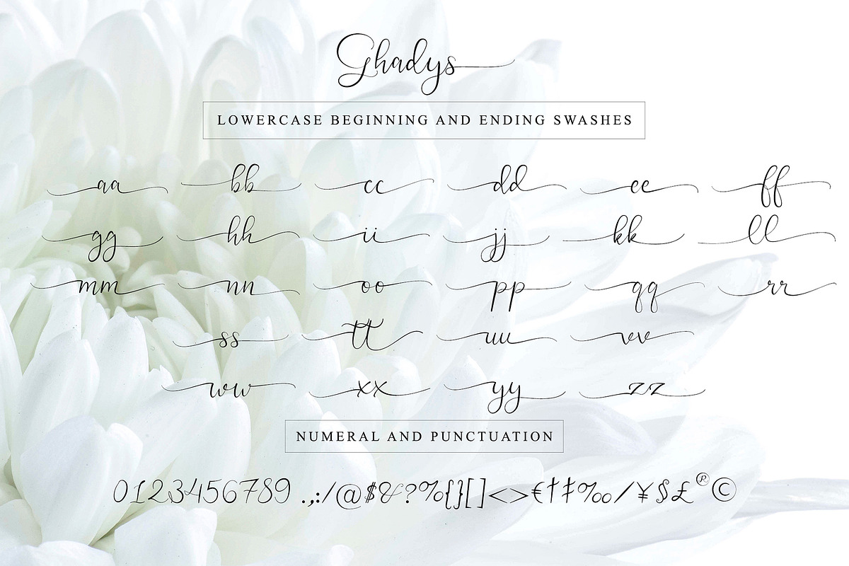 Ghadys - Classic Handwritten, a Script Font by erlosDESIGN (Photo 12 of 12)