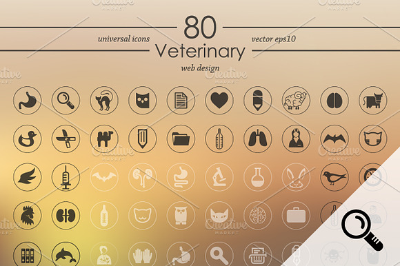 80 Veterinary Icons