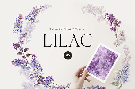 LILAC watercolor floral collection, a Decorative Illustration by Lana Elanor